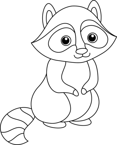 Cute Raccoon Coloring Page